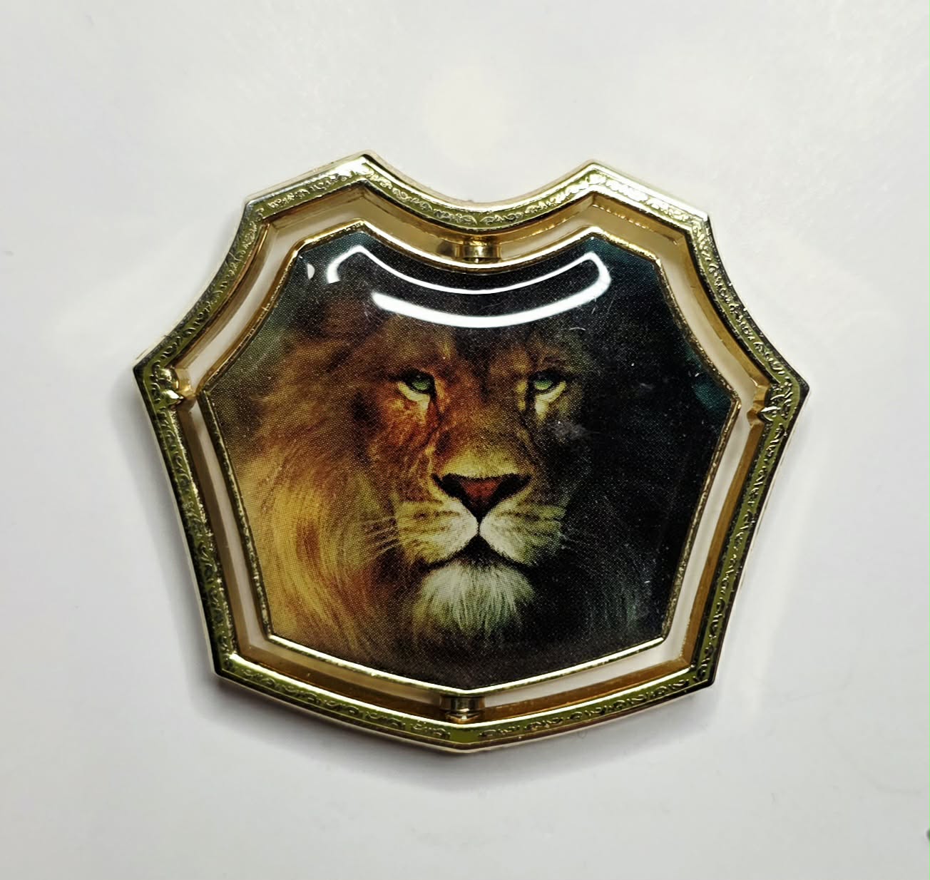 The Lion, the Witch and the Wardrobe
