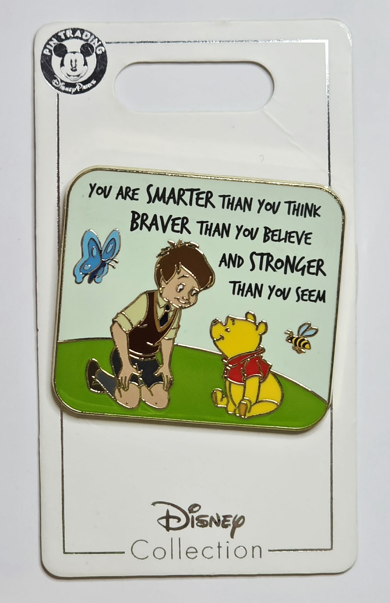 Winnie the Pooh and Christopher Robin