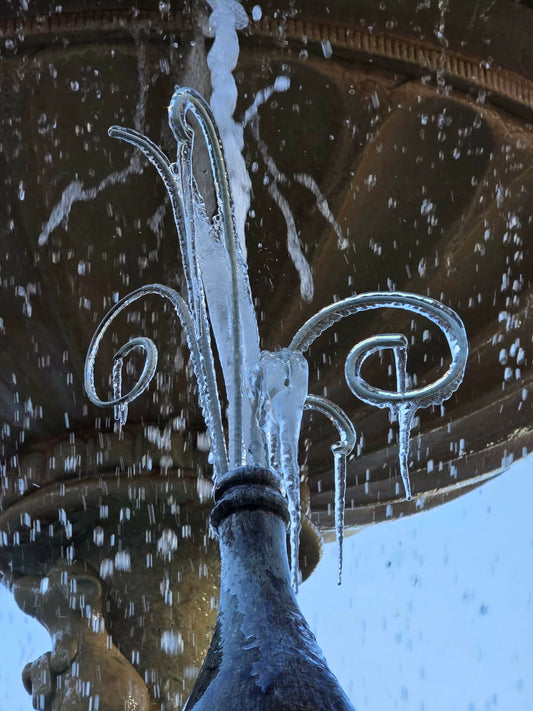 Disney World… but Make It Freezing
