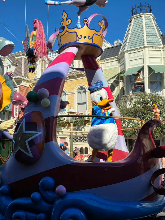 The Stress of Saving Spots at a Disney Parade