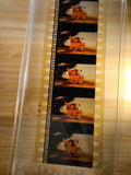 Vintage Film Stripe - Lion King
