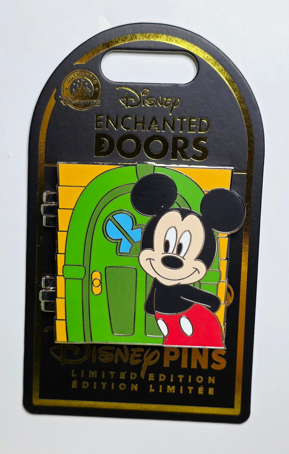 Mickey Mouse (and Pluto) Enchanted Doors