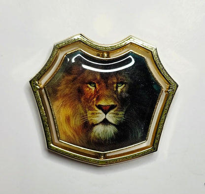 The Lion, the Witch and the Wardrobe