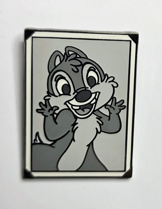 Chip and Dale - Black and White Snapshots