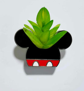 Mickey - Plant