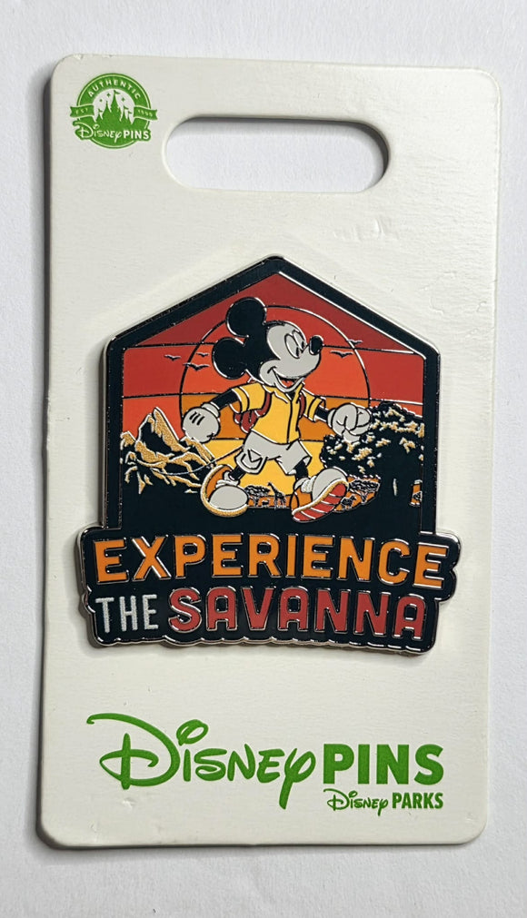 Disney Animal Kingdom Mickey Mouse Experience The Savanna