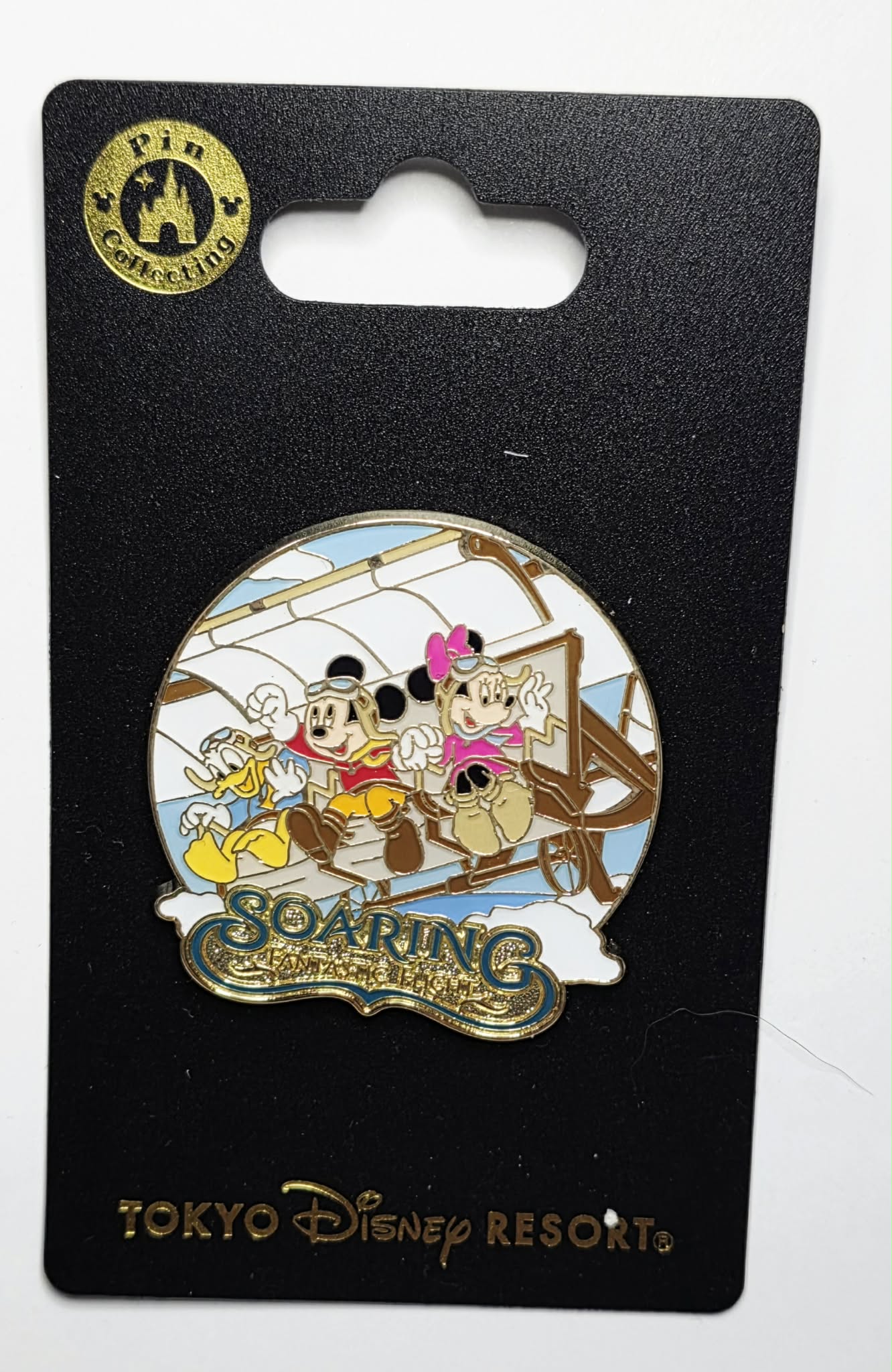 Tokyo Disney Attractions - Soaring: Fantastic Flight