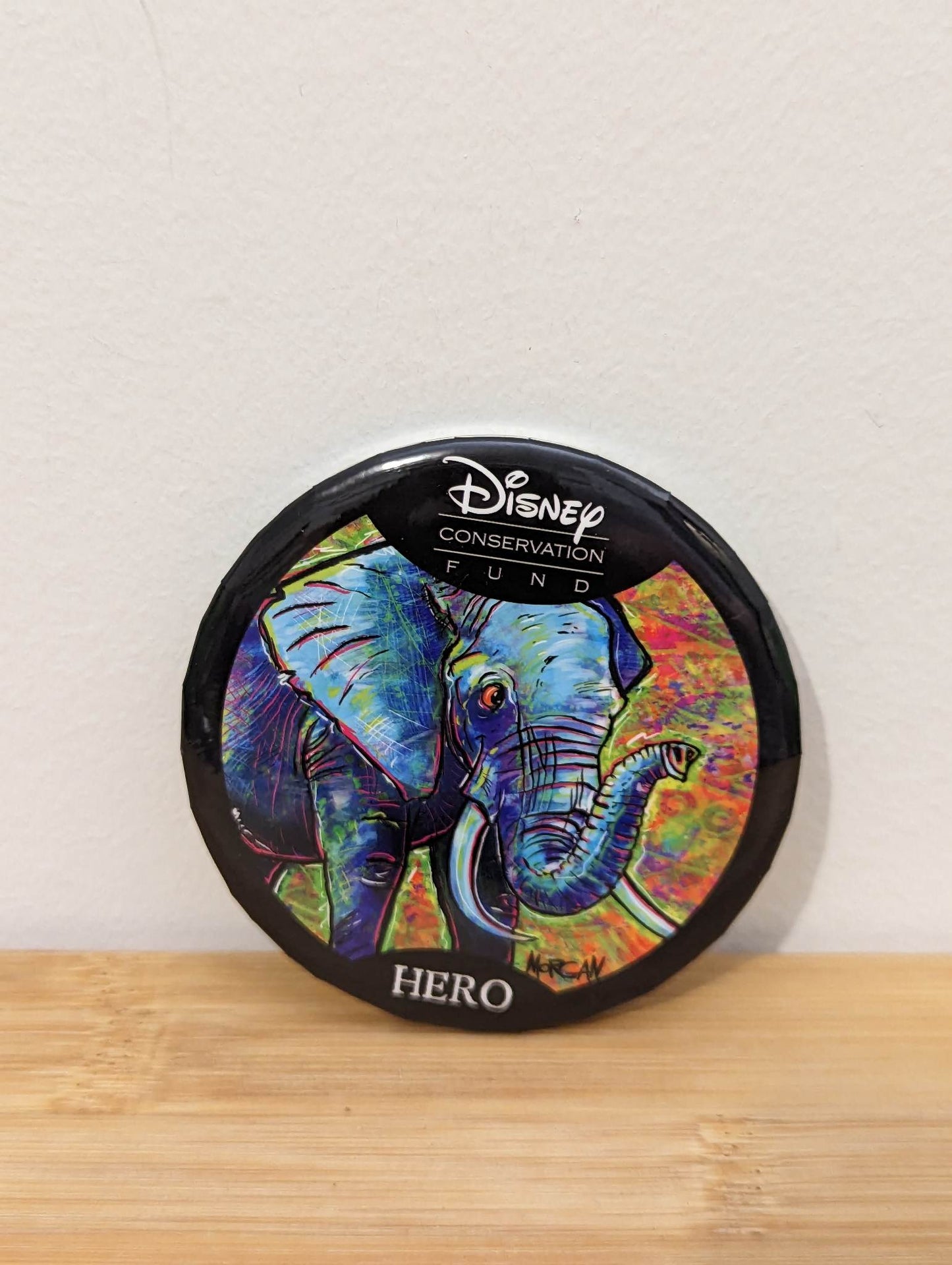 Button Disney Wildlife Conservation Fund